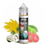 Fiole en 50 ml
