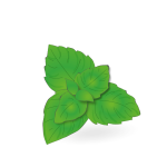Menthe en 50 ml