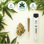 Les cônes de cbd